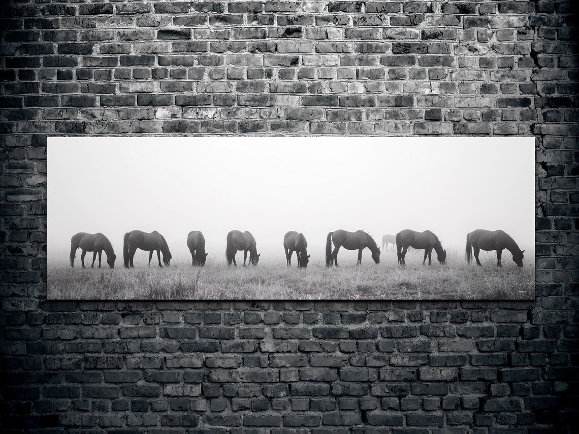 Black And White Horses Grazing In Mist Panoramic Wild Herd Poster - Image 2