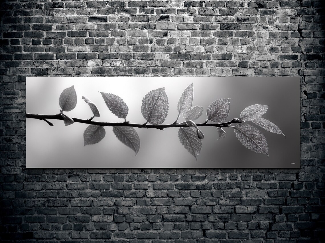 Minimalist Eucalyptus Leaves on Rustic Wood, Art Print - Image 2