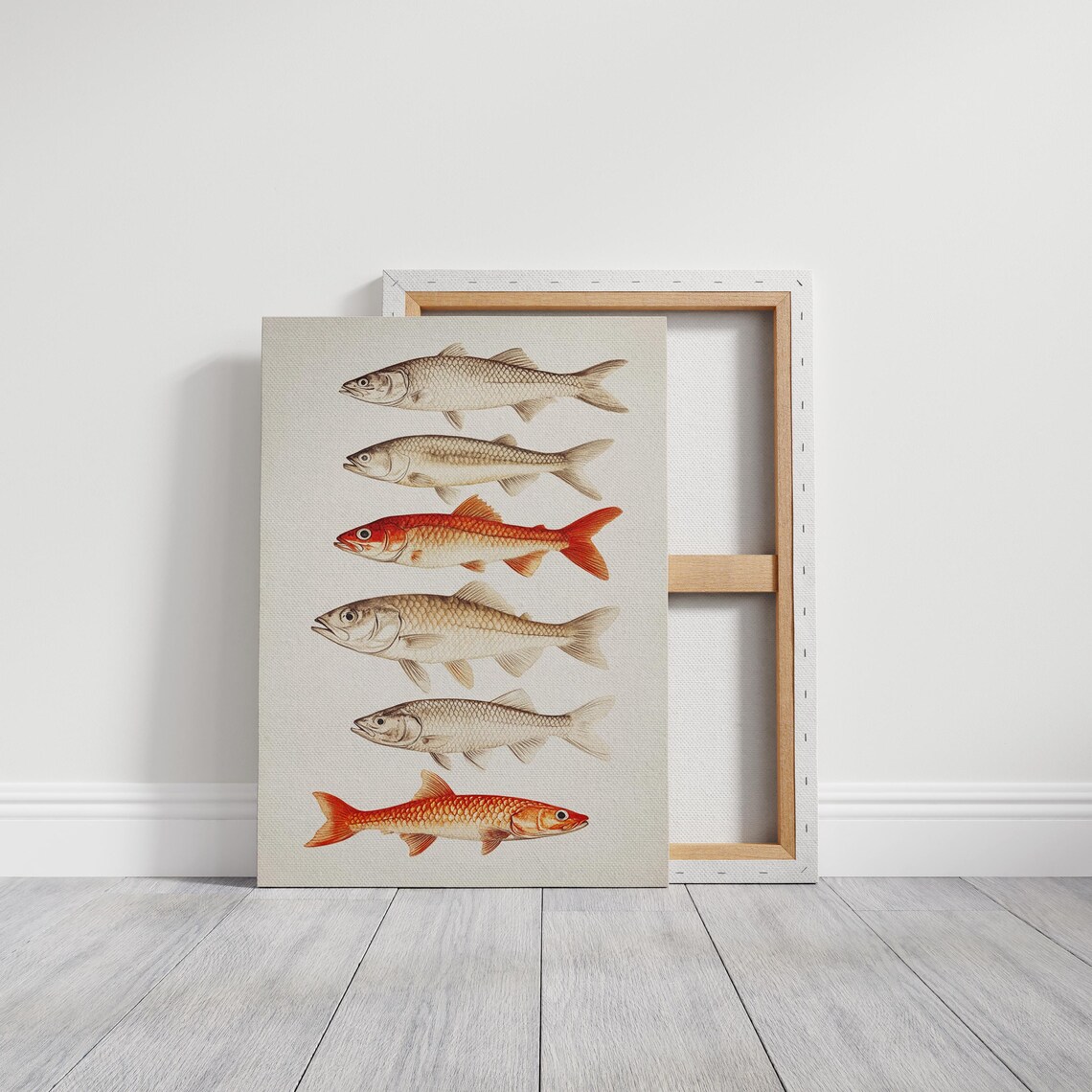 Six Fish Species Vintage Illustration Rustic Coastal Nature Art Poster - Image 6