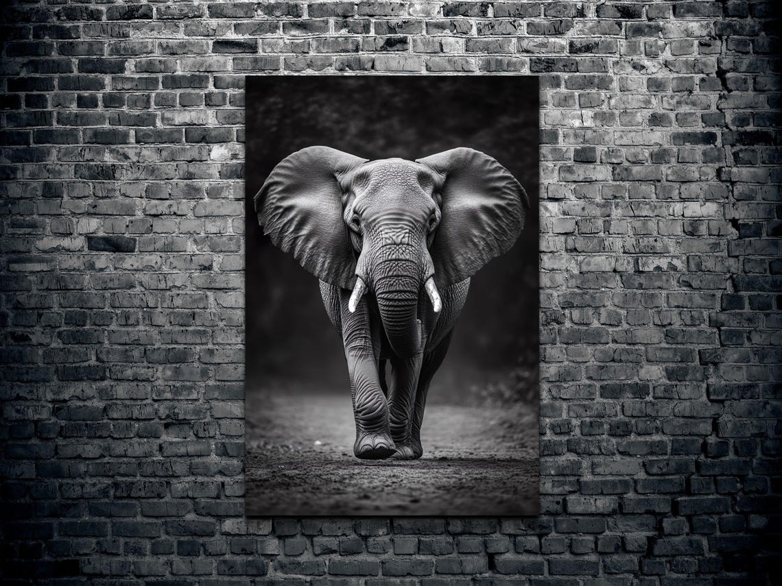 Black And White Elephant Art Print - Image 2