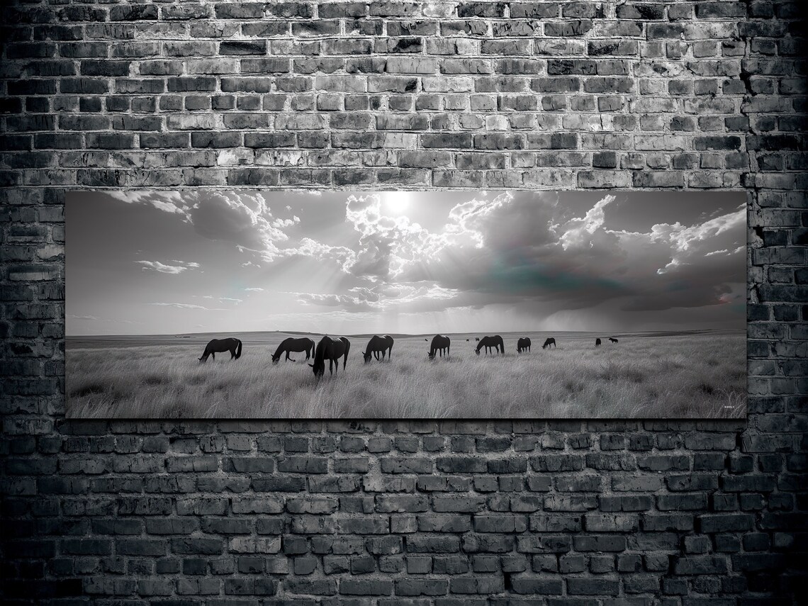 Panoramic Wild Horse Black And White Art Print - Image 2