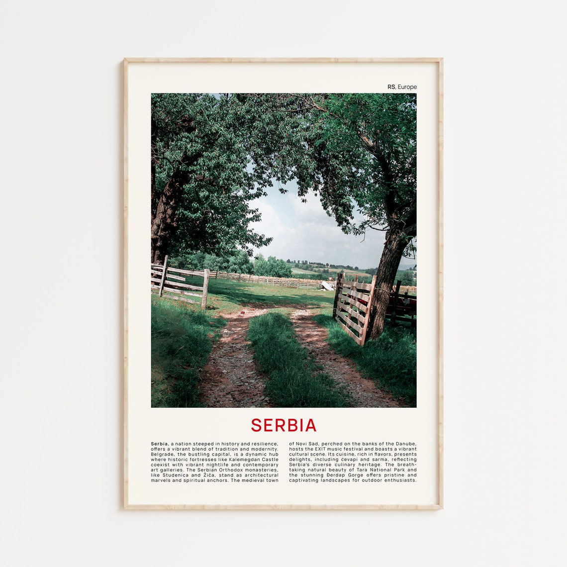 Serbia Print Film Photo Serbia Wall Art Serbia Poster Serbia Photo Serbia Poster Print Serbia Wall Decor Serbia Wall Decor Serbia Art