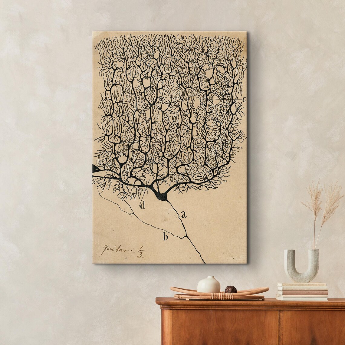 Neurons by Santiago Ramon y Cajal, Vintage Anatomy Print