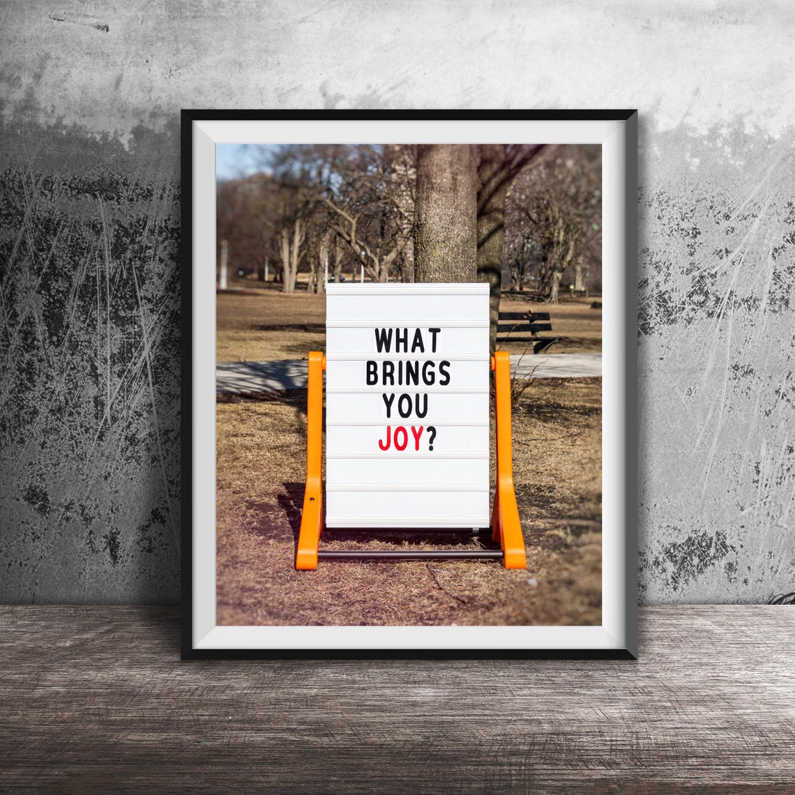 What Brings You Joy Red Accent Letter Board Park Photo Poster