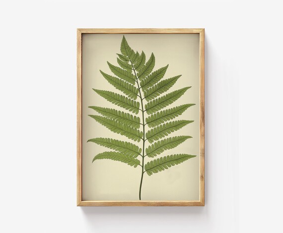 Fern Botanical Victorian Style Green Leaf Illustration Art Poster
