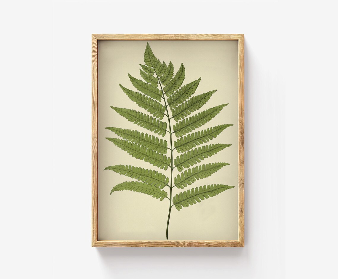 Fern Botanical Print Victorian Style Wall Art
