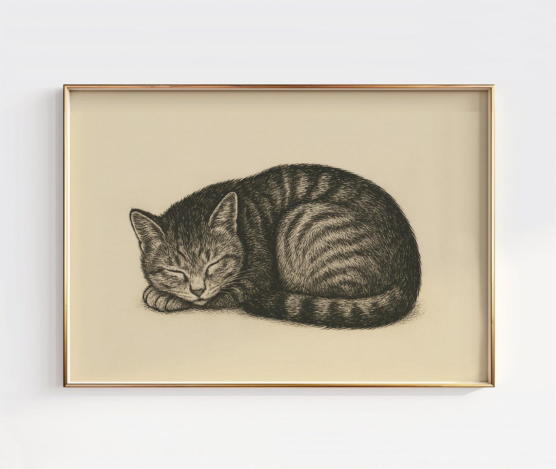 Sleeping Tabby Cat Curled Up Cozy Vintage Pen Ink Drawing Poster