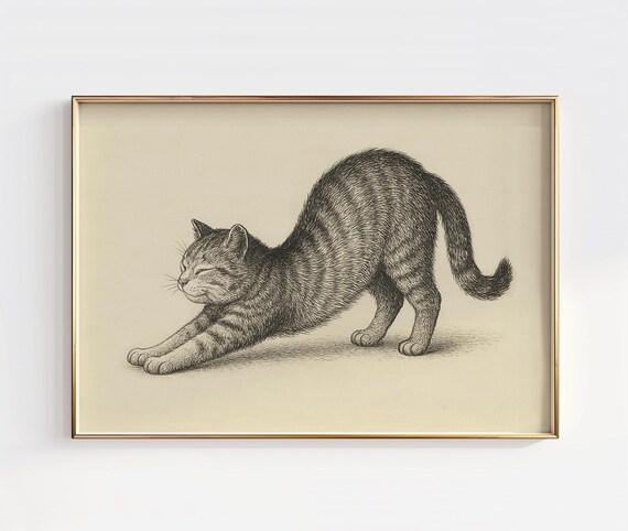Stretching Tabby Cat Morning Stretch Vintage Ink Sketch Art Poster