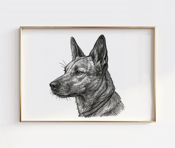 Australian Cattle Dog Line Art Print Minimalist Pet Portrait