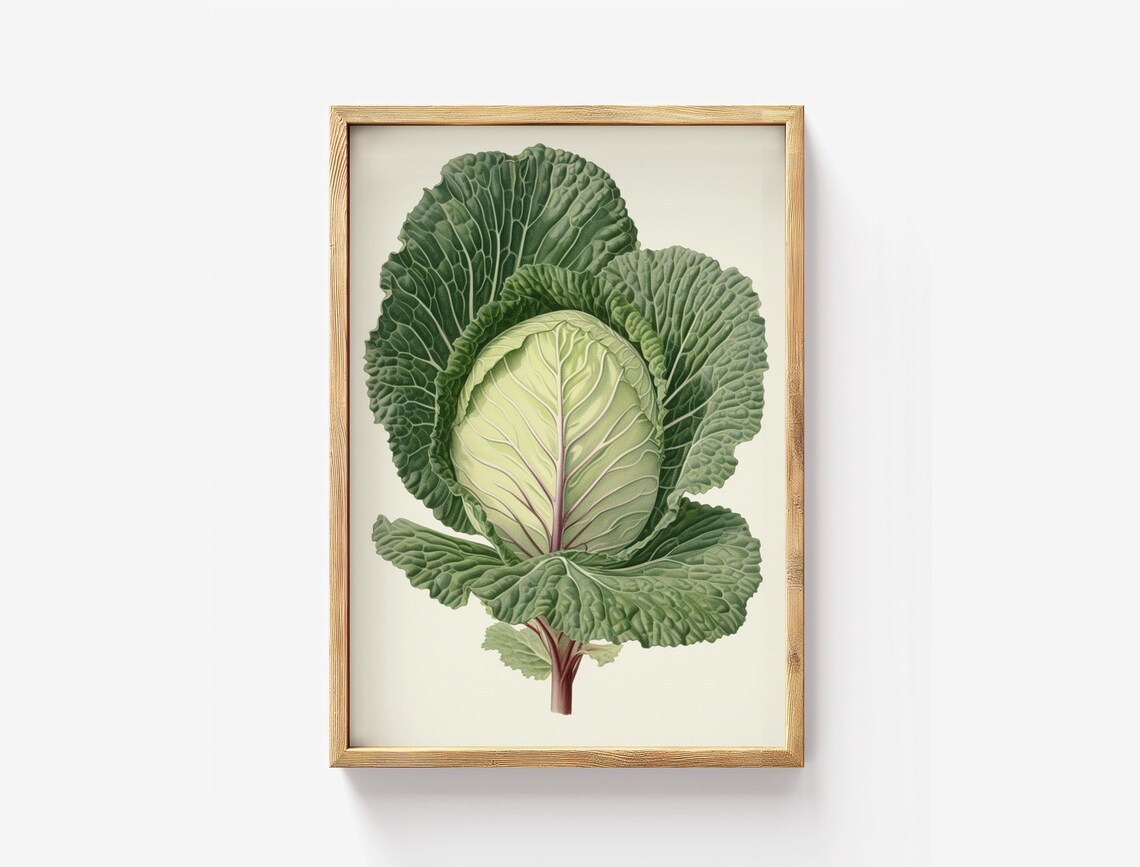Botanical Cabbage Print Heirloom Vegetable Wall Art Farmhouse Kitchen Decor Rustic Green Leaf Poster
