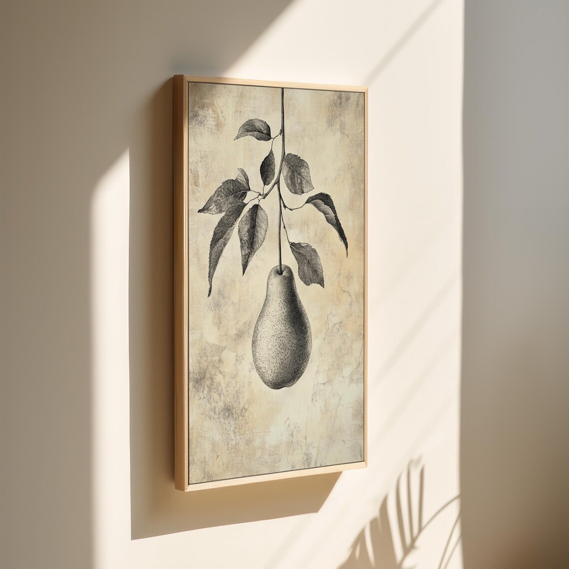 Vintage Pear Illustration, Rustic Botanical Fruit Art Print - Image 5