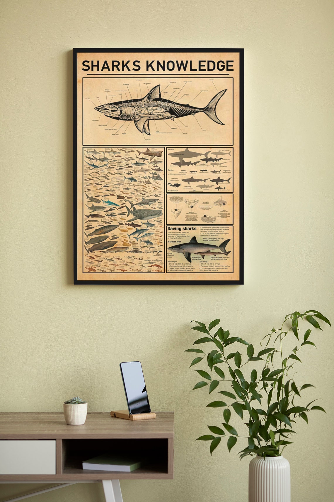 Sharks Knowledge Vintage Shark Anatomy Illustrated Species Poster - Image 4