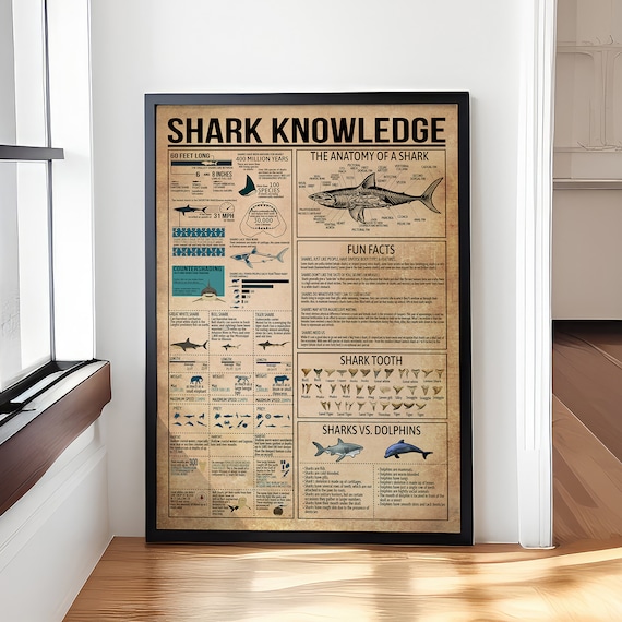 Shark Knowledge Anatomy Fun Facts Teeth Vintage Chart Poster