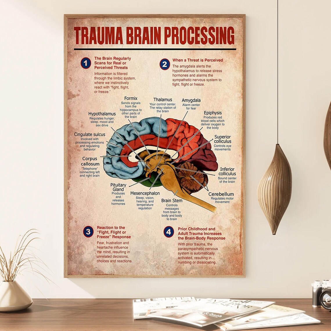 Trauma Brain Processing Poster, Mental Health Guidance - Image 3