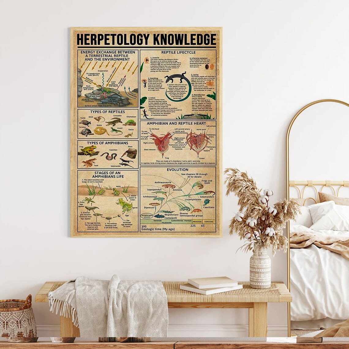 Herpetology Knowledge Anatomy Infographic, Education - Image 3
