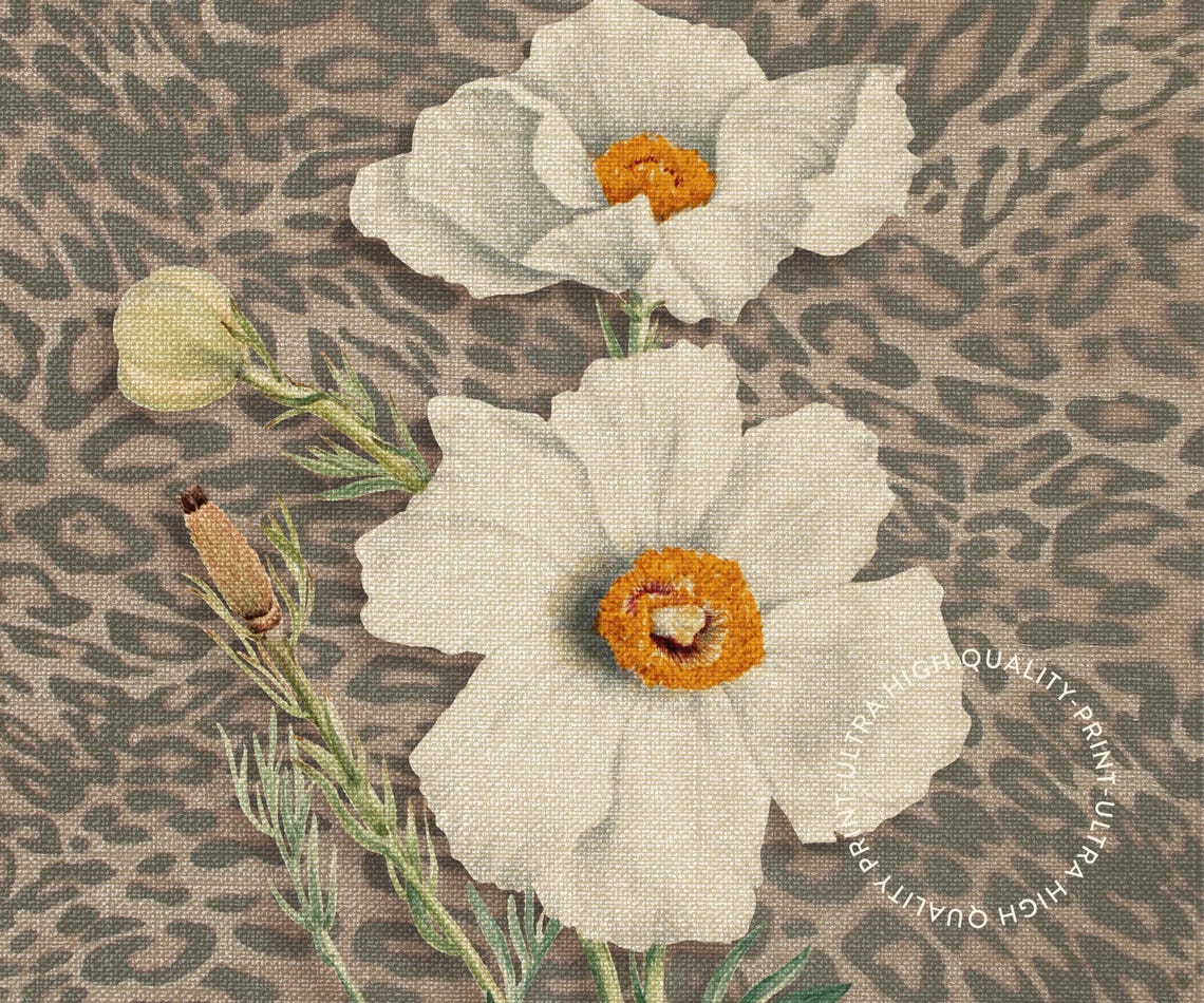 White Poppy Flowers on Leopard Print Botanical Vintage Wall Print - Image 5