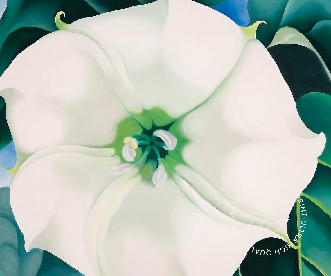 Georgia O'Keeffe White Flower No 1 Tate Botanical Modern Art Poster - Image 4
