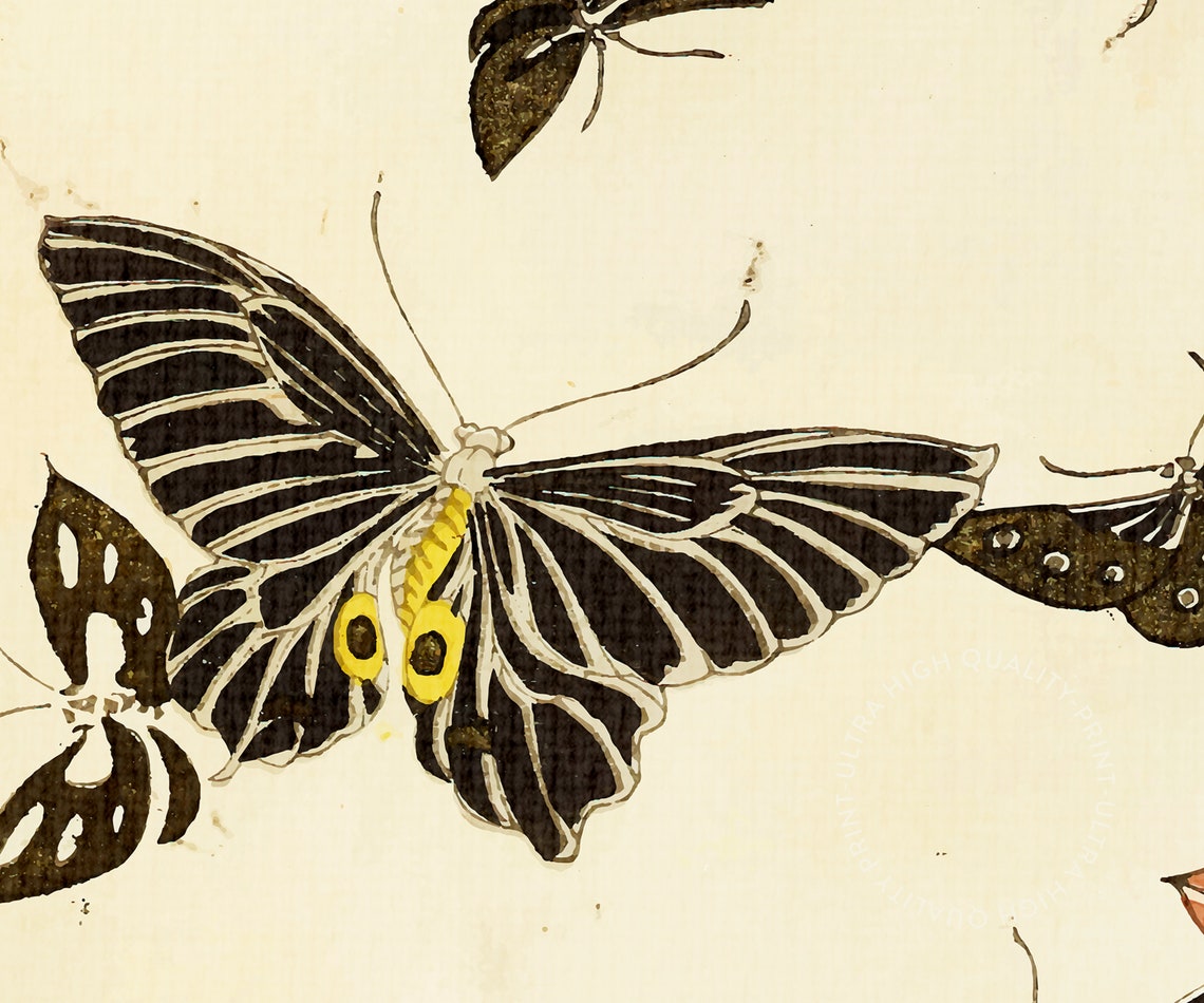 Korin Furuya Japanese Butterfly Art Print 1901 Bijutsukai Wall Decor - Image 5