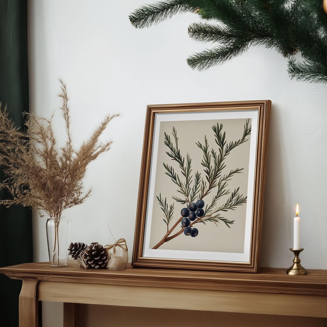Juniper Branch With Dark Berries Vintage Botanical Winter Wall Art - Image 6