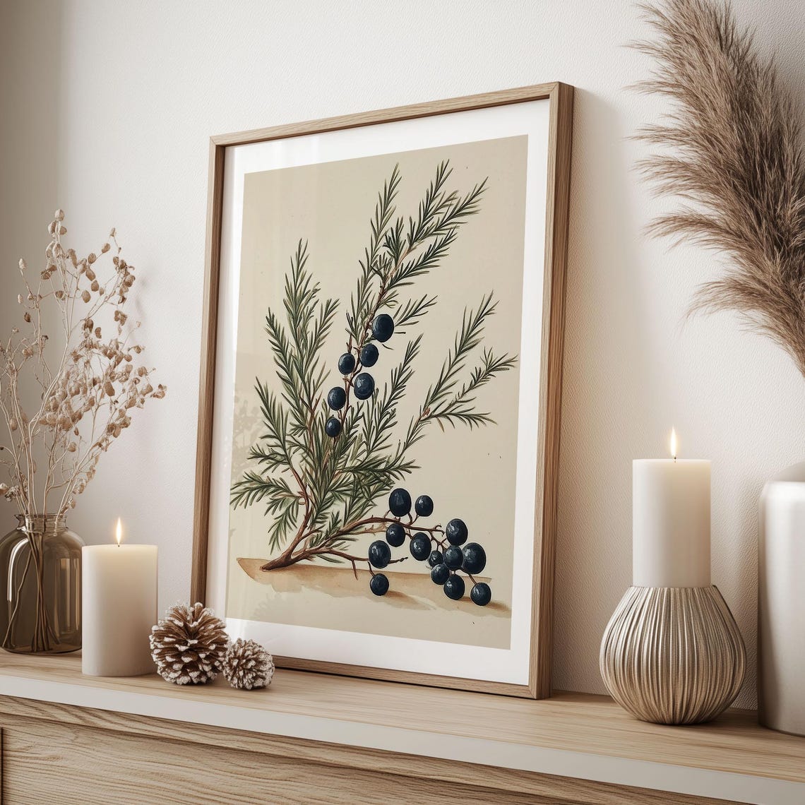 Juniper Twig with Berries Vintage Botanical Illustration Poster - Image 2