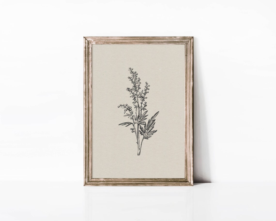 Antique Botanical Sketch Vintage Floral Ink Drawing Art Poster