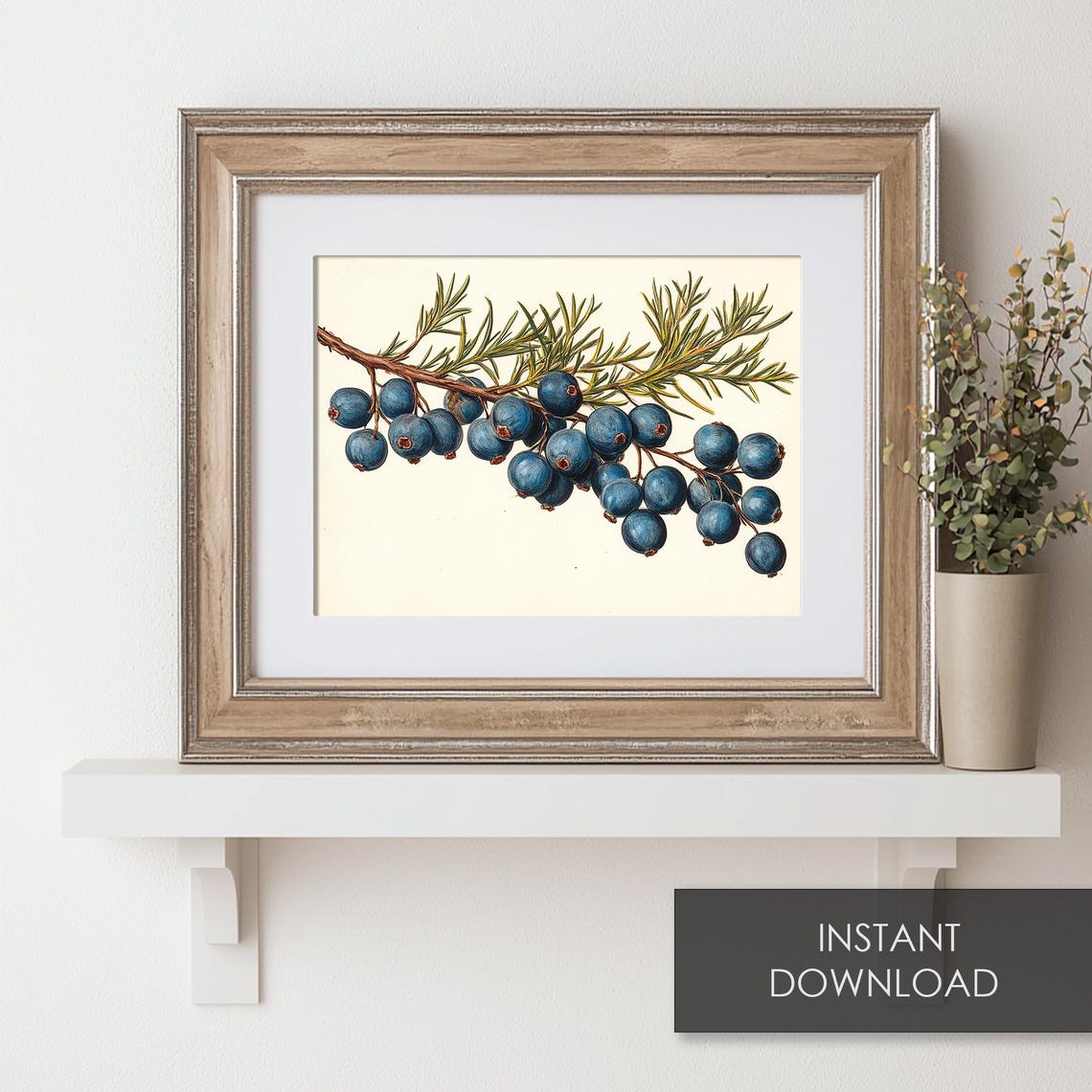 Vintage Blue Berry Branch Botanical Illustration Holiday Wall Art - Image 6