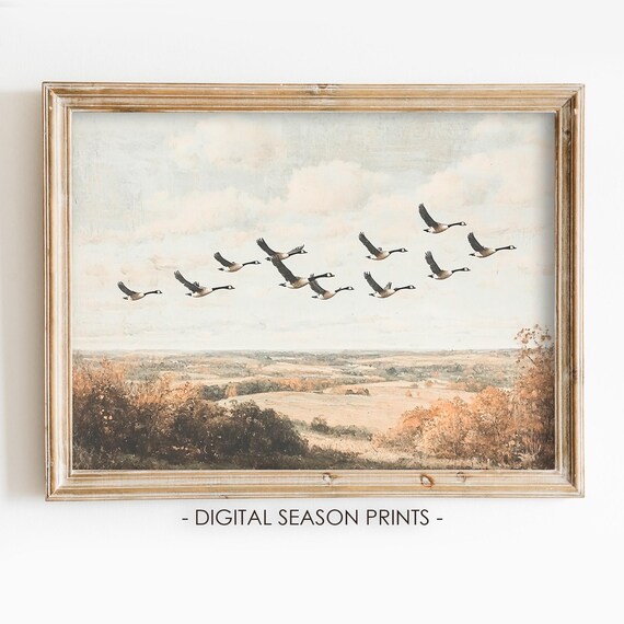 Canada Geese Flying Over Autumn Farmland Vintage Landscape Print