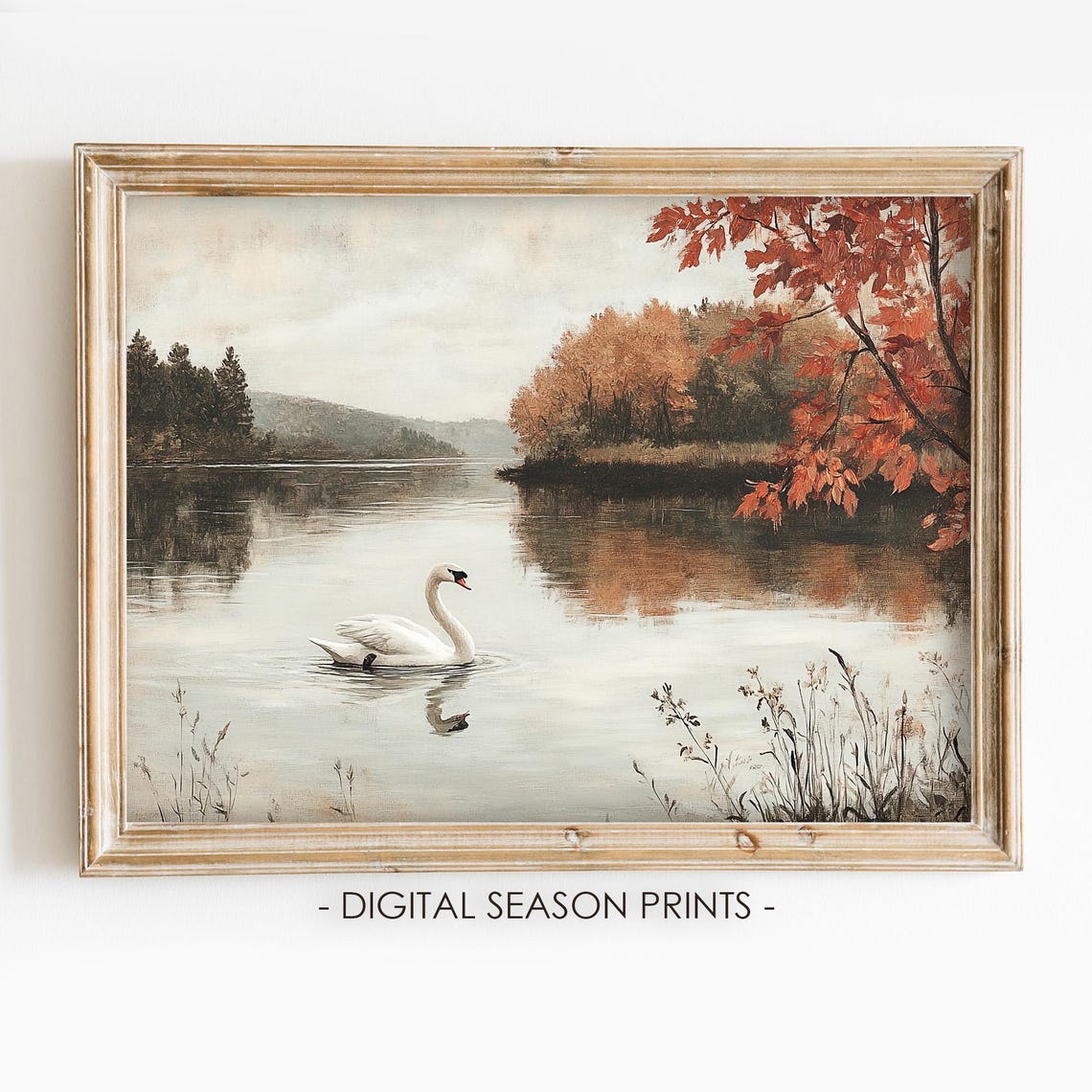 White Swan On A Misty Autumn Lake With A Red Maple Tree Poster