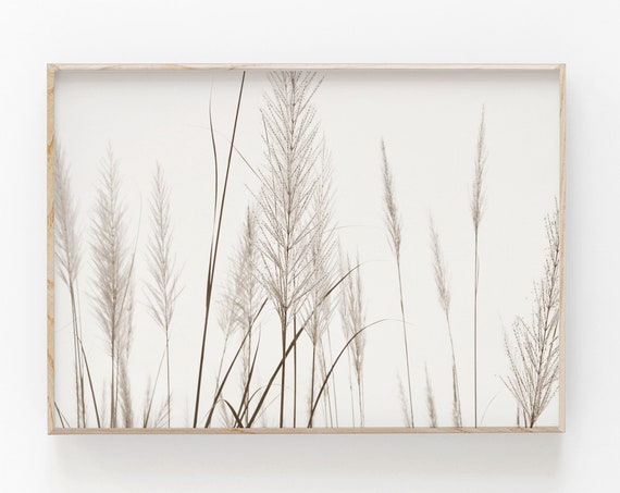 Pampas Grass Botanical Art Print, Modern Minimalist Poster