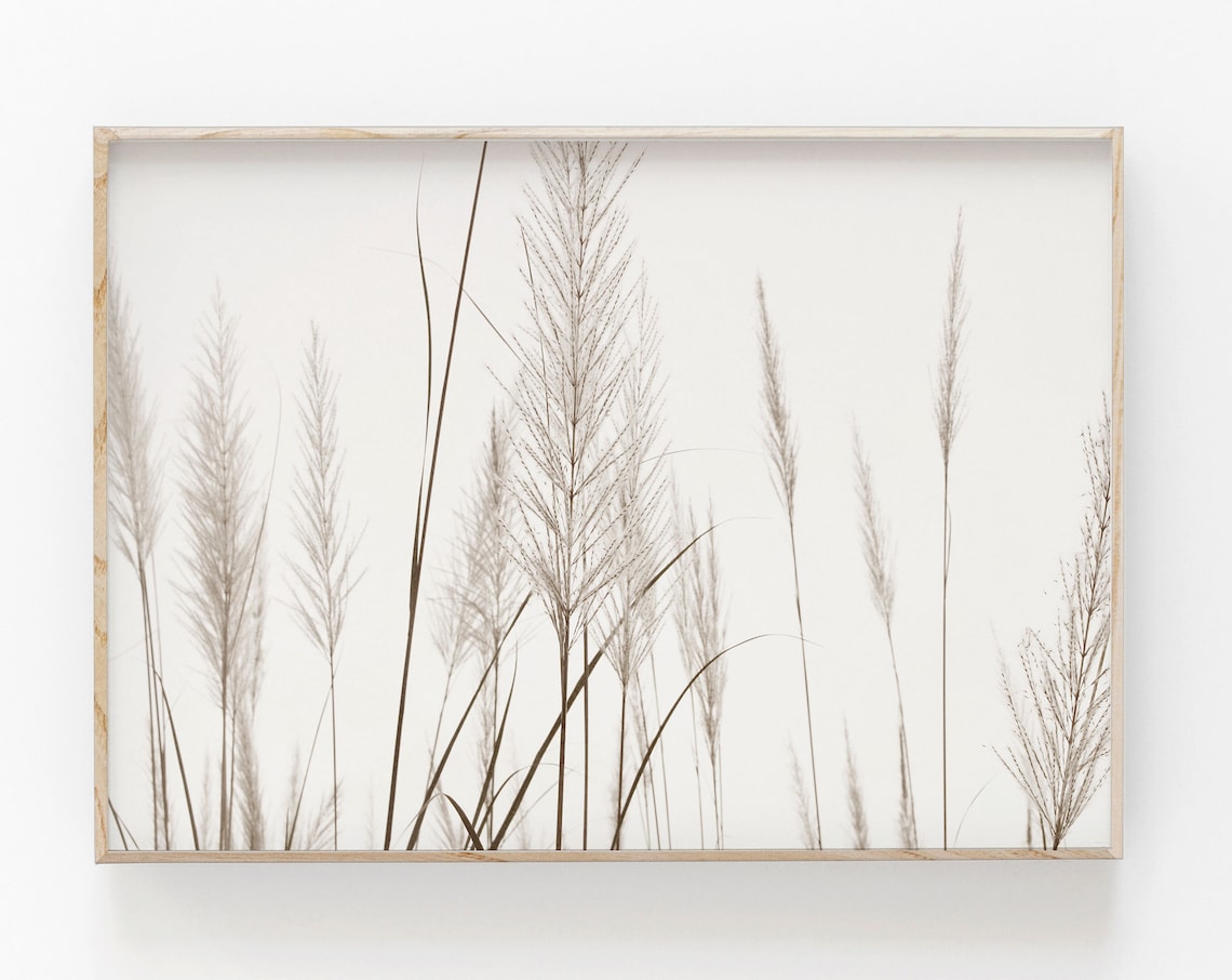 Pampas Grass Botanical Art Print, Modern Minimalist Poster