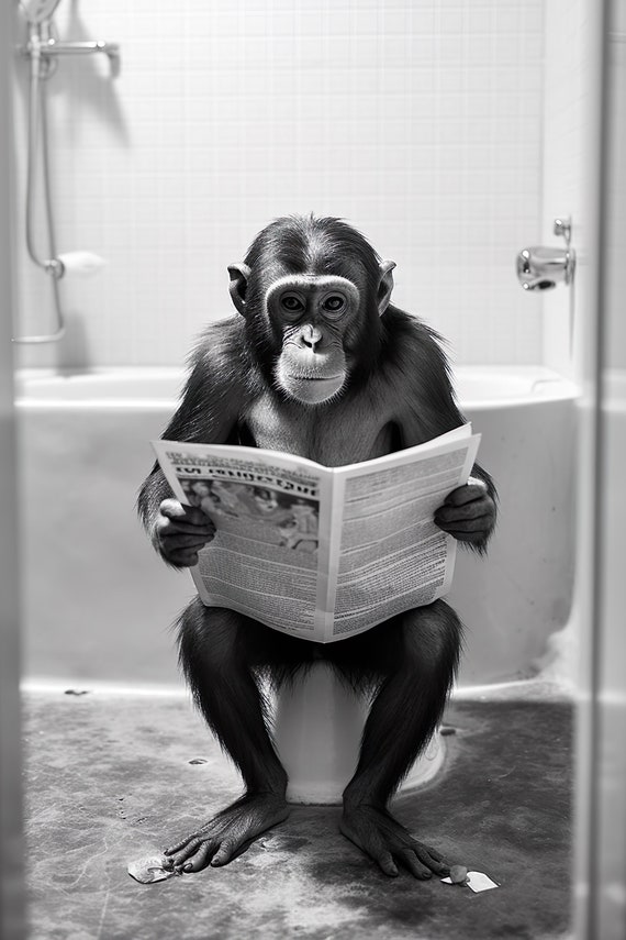 Monkey Sitting on the Toilet Reading a Newspaper, Funny Poster