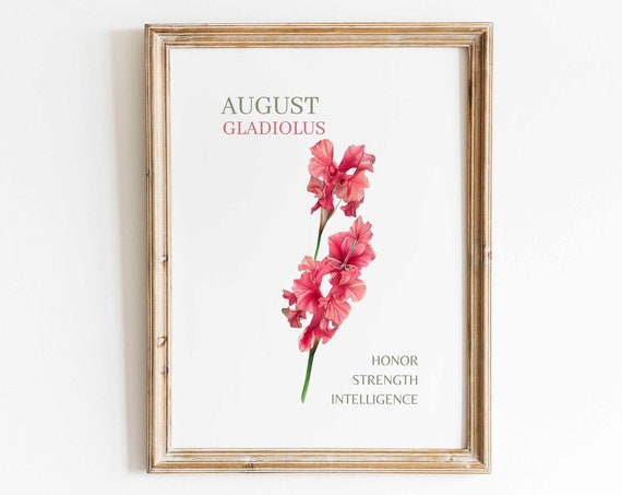 August Gladiolus Watercolor Art Print, Floral Minimalist