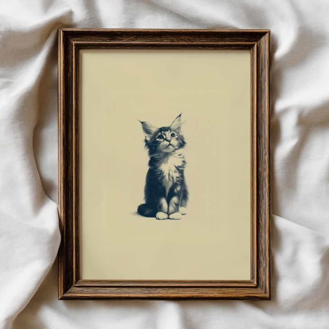 Fluffy Maine Coon Kitten Vintage Pencil Portrait Sketch Print