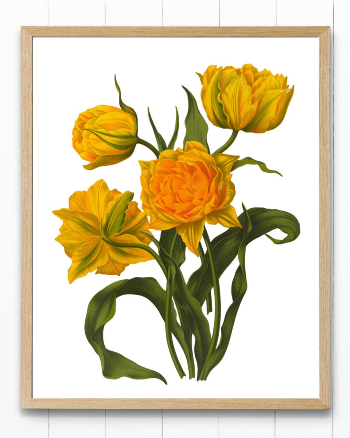 Yellow Tulips Vintage Botanical Flower Illustration Bright Spring Floral Poster - Image 4