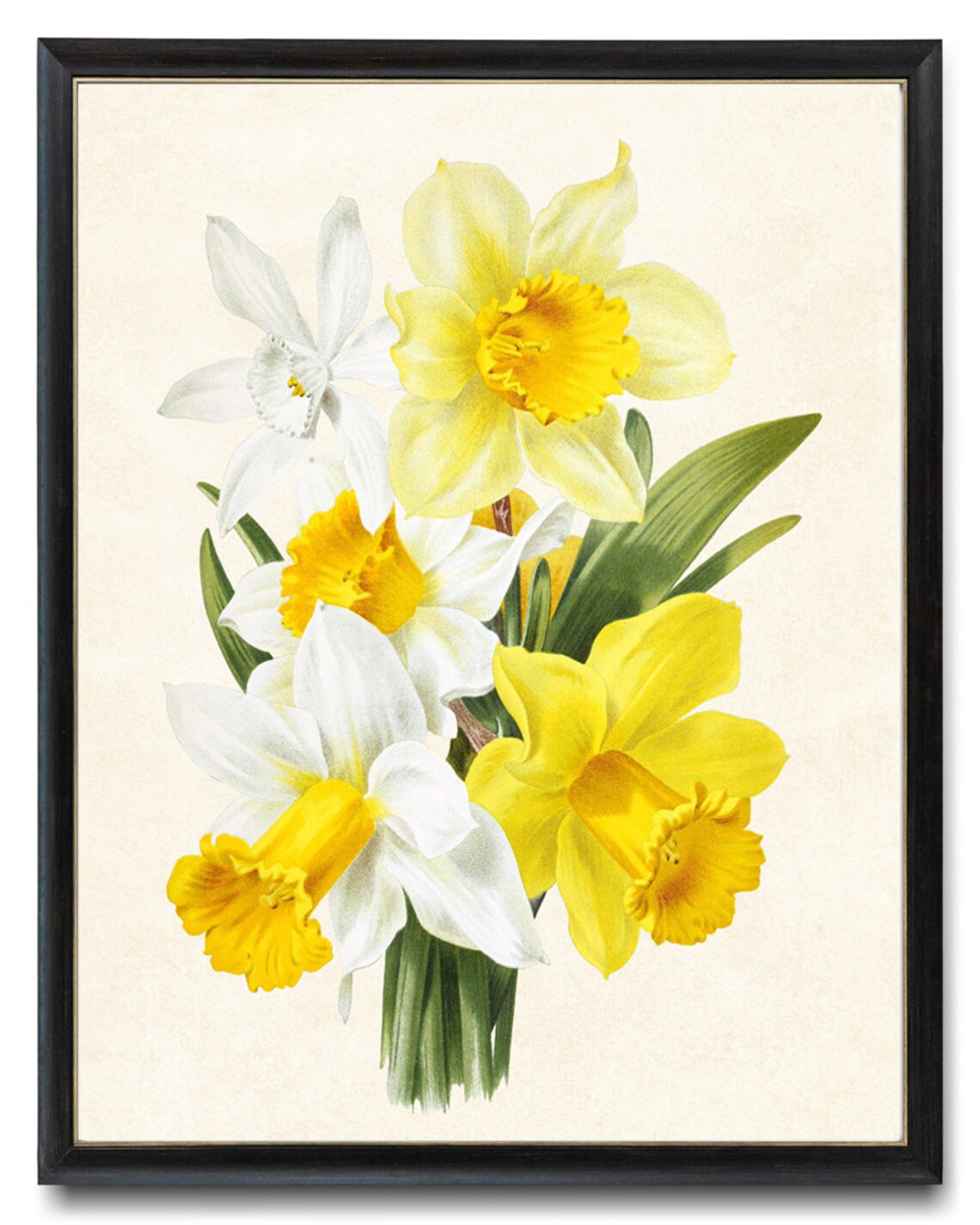 Spring Flowers Vintage Flower Illustration Art Print