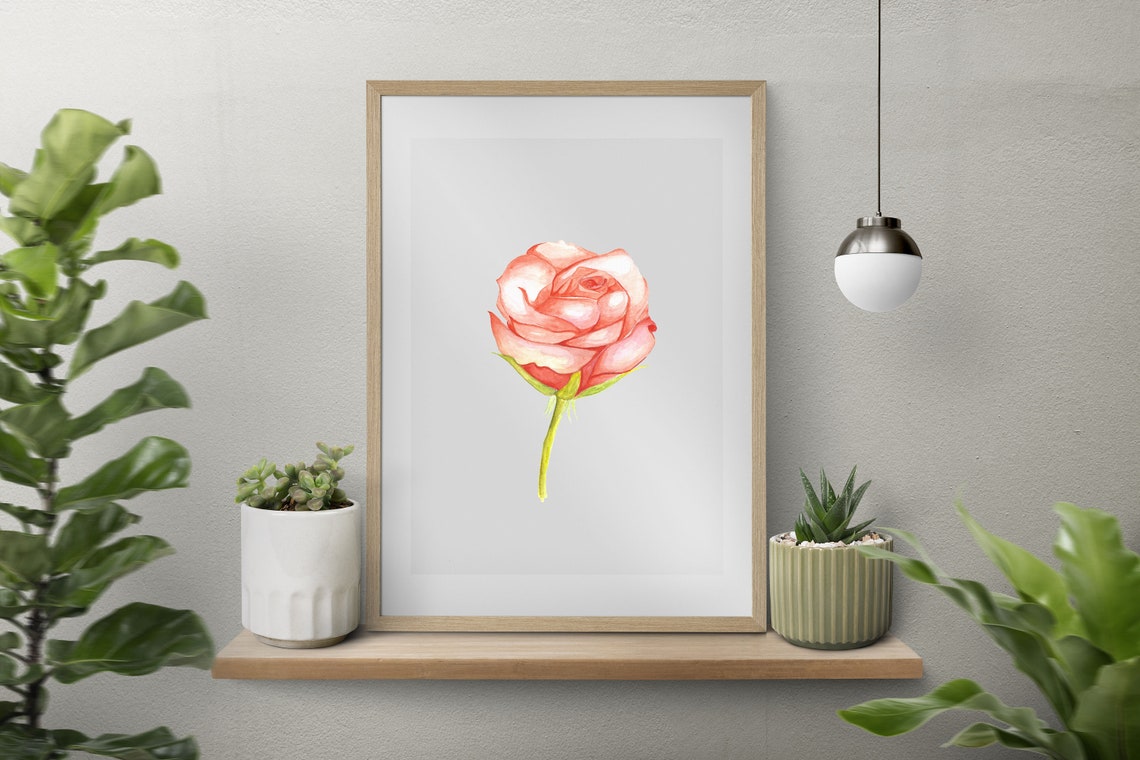 Pink Watercolor Rose Single Bloom Romantic Botanical Art Poster