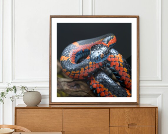 Vivid Red Black Checkered Snake Bold Reptile Modern Wall Art Print