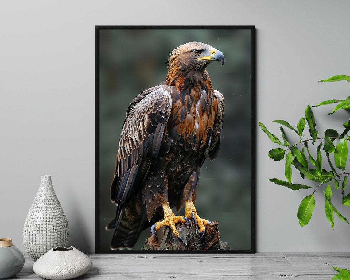 Golden Eagle Portrait Close Up On Rocky Perch Wildlife Poster - Image 5