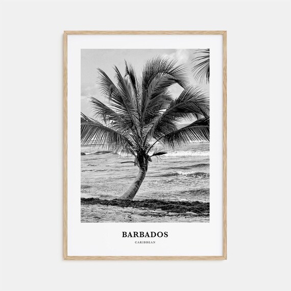 Barbados Leaning Palm Tree Beach Black and White Travel Poster