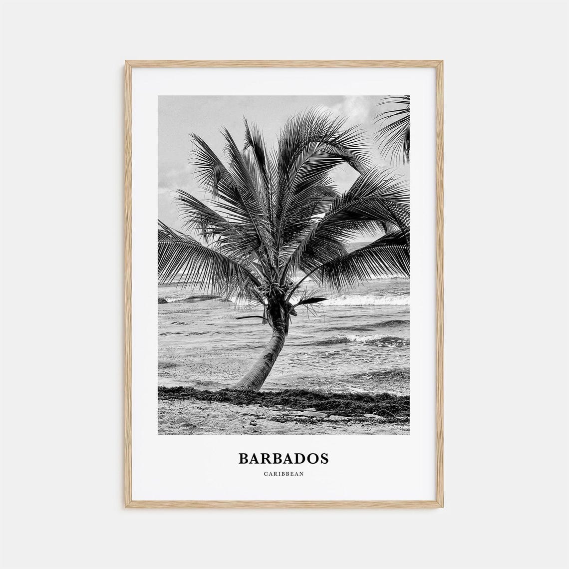 Barbados Leaning Palm Tree Beach Black and White Travel Poster