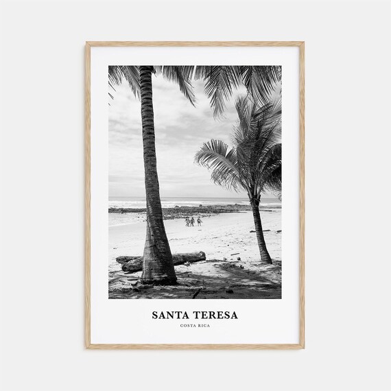 Santa Teresa Costa Rica Palm Trees Beach Black White Tropical Photo Poster