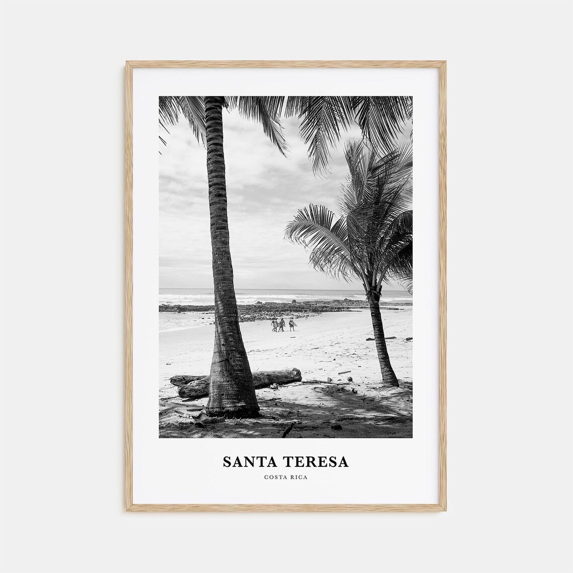 Santa Teresa Costa Rica Palm Trees Beach Black White Tropical Photo Poster