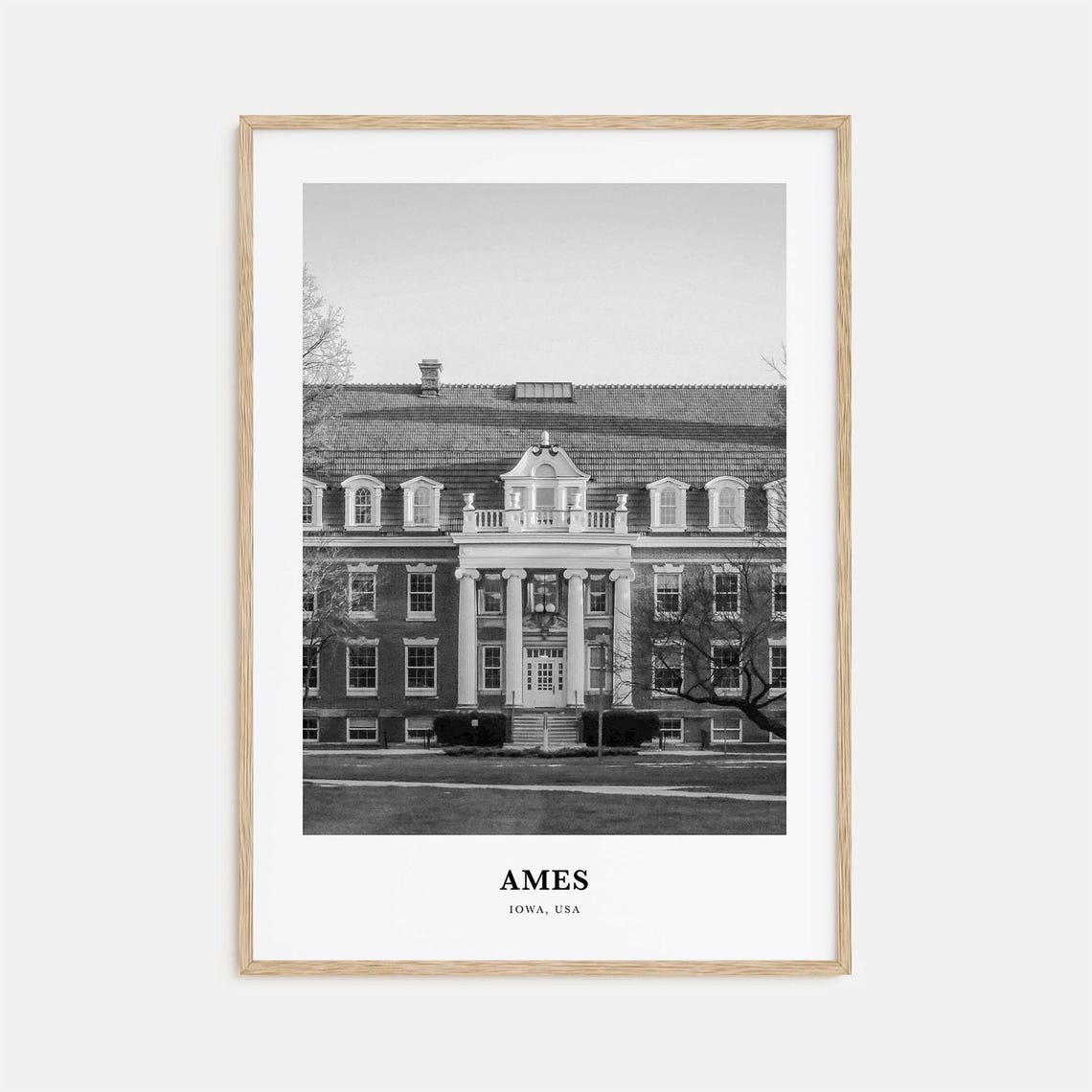 Ames Iowa Collegiate Brick Building Black and White Travel Poster