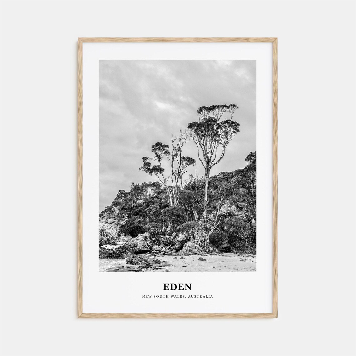 Eden Rocky Cove with Tall Coastal Trees Australia Travel Poster