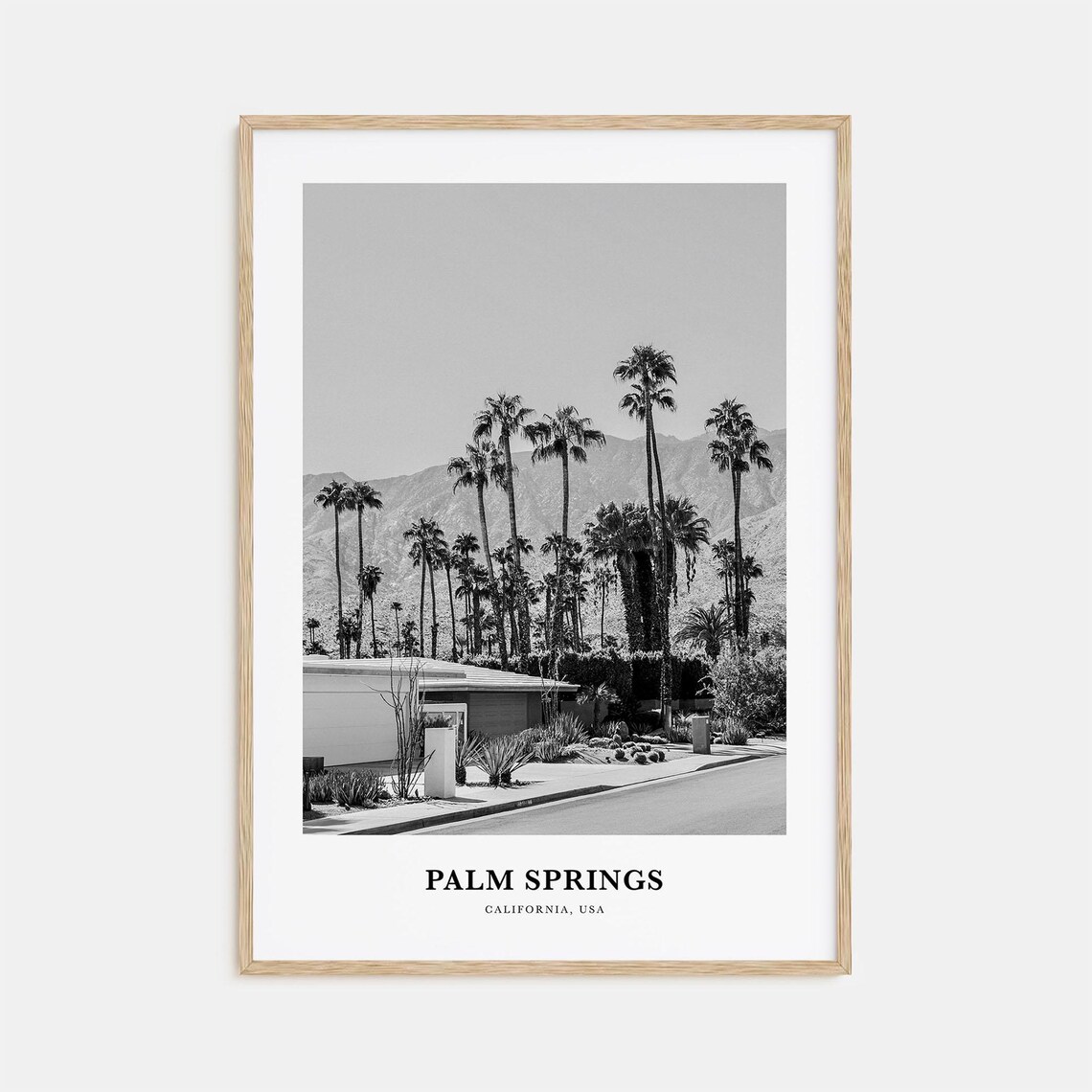Palm Springs Palm Tree Street Mountain View Black and White Poster