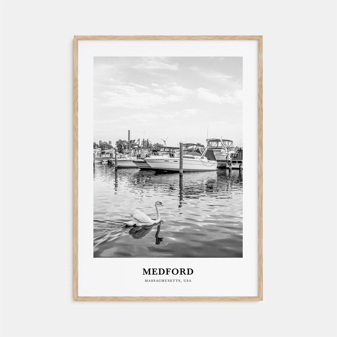 Medford Massachusetts Harbor Swan Black White Photography Art Poster