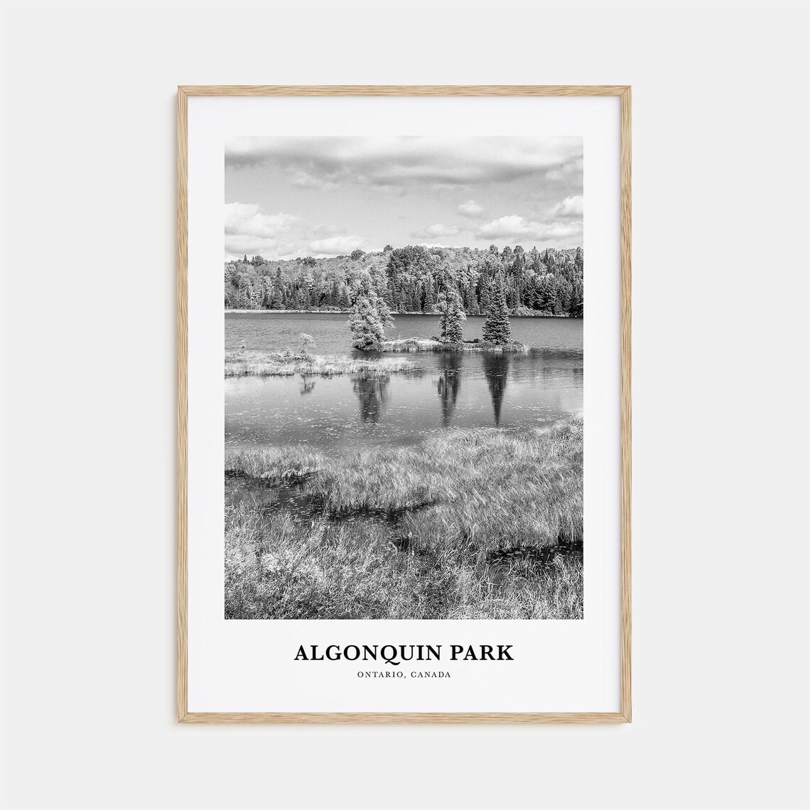 Algonquin Park Ontario Lake and Pines Black and White Canada Poster