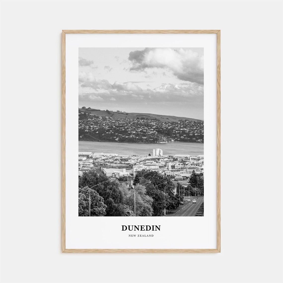 Dunedin Harbor Black and White Hillside Skyline Travel Poster