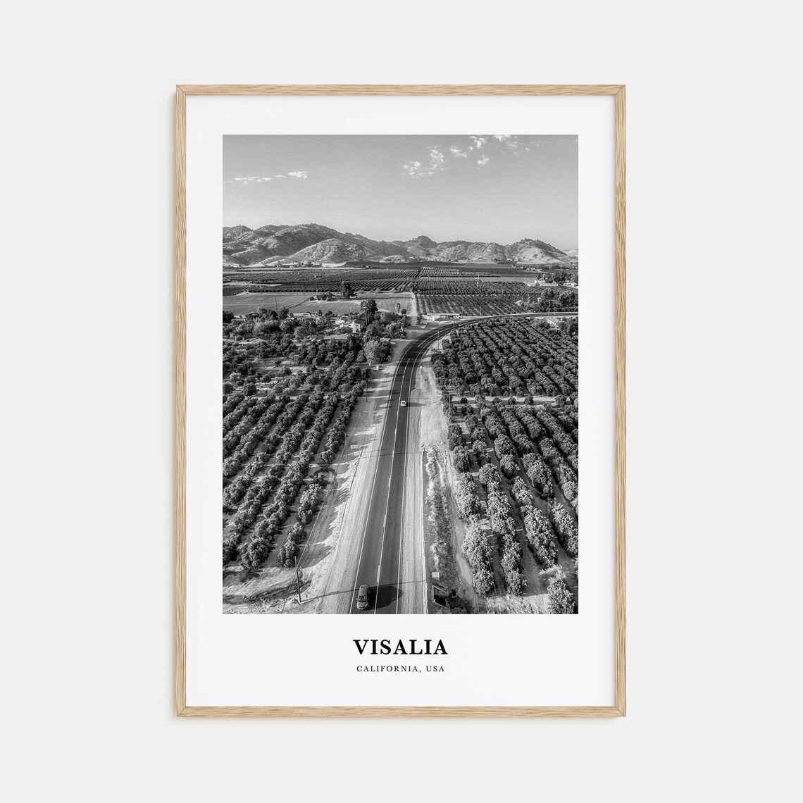 Visalia California Orchard Highway Aerial Black and White Poster