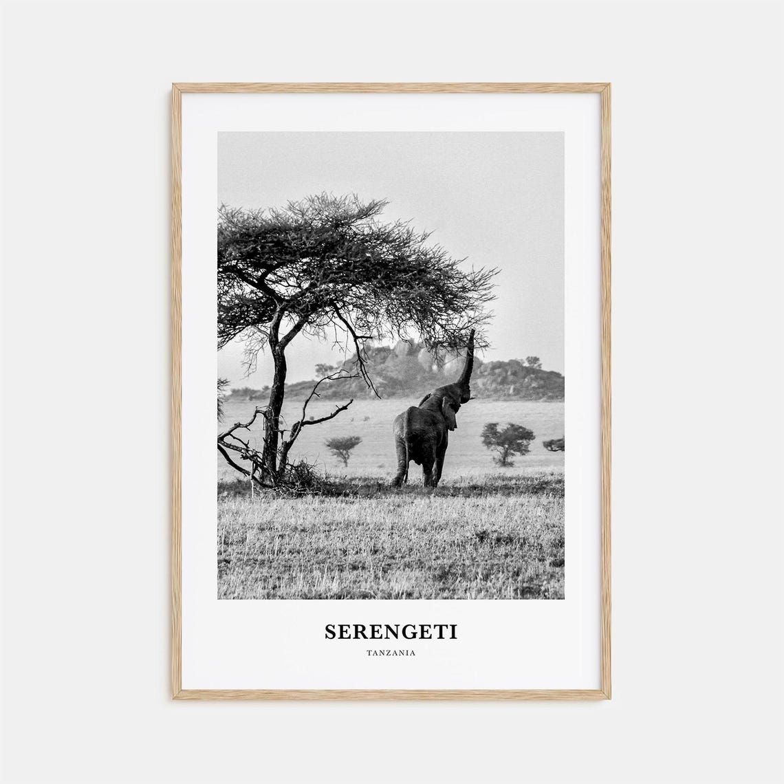 Serengeti National Park Wall Art Serengeti Wall Decor Serengeti Poster Serengeti Home Decor Serengeti Travel Gift Serengeti Travel